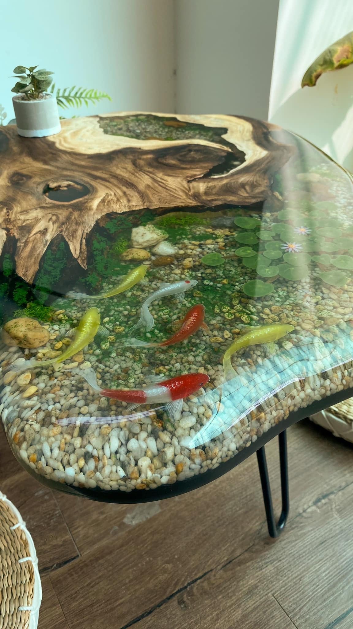 Table with 3D koi fish